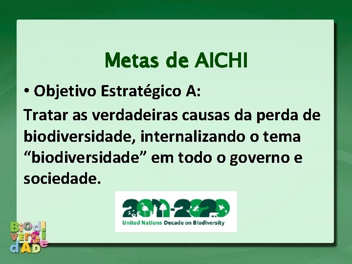 Metas de AICHI • Objetivo Estratégico A: Tratar as verdadeiras causas da perda de