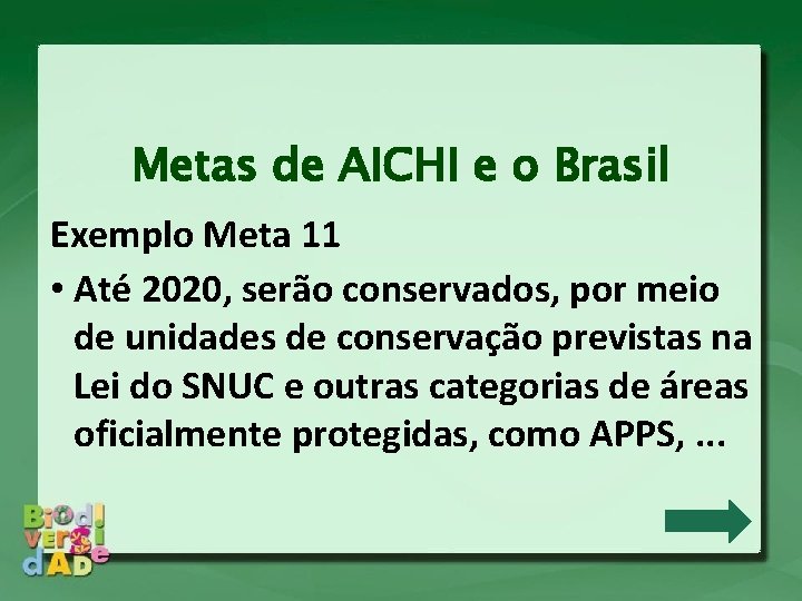 Metas de AICHI e o Brasil Exemplo Meta 11 • Até 2020, serão conservados,