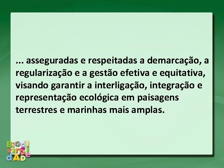 . . . asseguradas e respeitadas a demarcação, a regularização e a gestão efetiva . . . asseguradas e respeitadas a demarcação, a regularização e a gestão efetiva