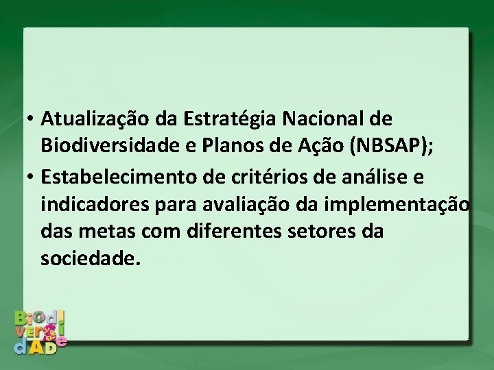 • Atualização da Estratégia Nacional de Biodiversidade e Planos de Ação (NBSAP); • • Atualização da Estratégia Nacional de Biodiversidade e Planos de Ação (NBSAP); •