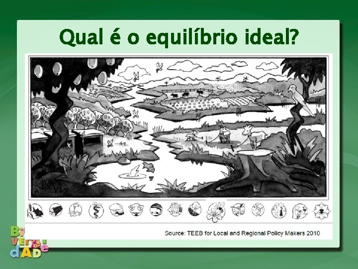 Qual é o equilíbrio ideal? 