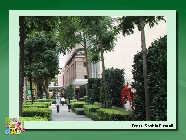 Fonte: Sophia Picarelli Fonte: Sophia Picarelli