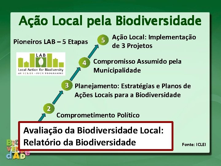Ação Local pela Biodiversidade Pioneiros LAB – 5 Etapas 5 Ação Local: Implementação de