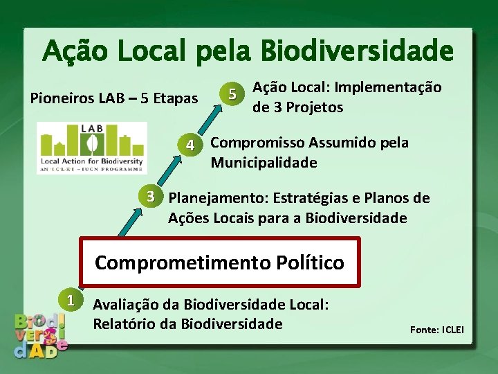 Ação Local pela Biodiversidade Pioneiros LAB – 5 Etapas 5 Ação Local: Implementação de