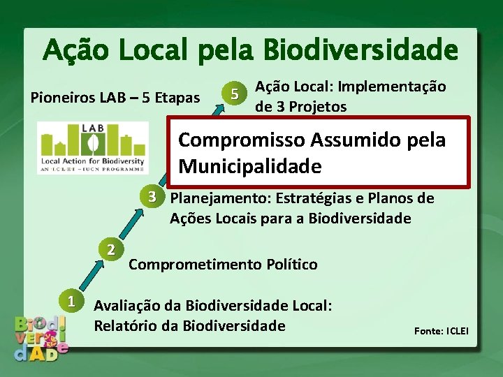 Ação Local pela Biodiversidade Pioneiros LAB – 5 Etapas 5 Ação Local: Implementação de