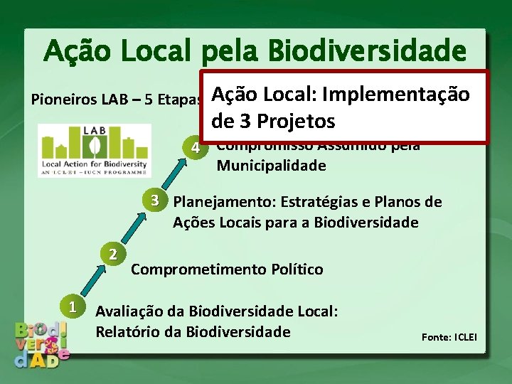 Ação Local pela Biodiversidade Pioneiros LAB – 5 Etapas Local: Implementação 5 Ação Local: