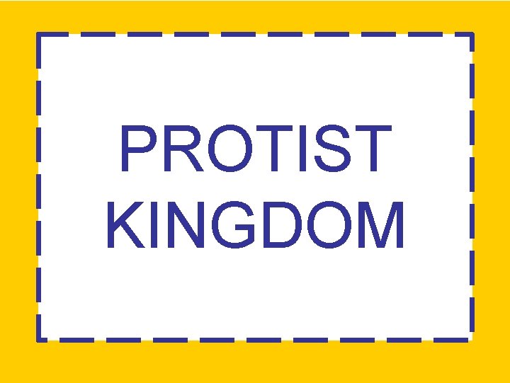 PROTIST KINGDOM 