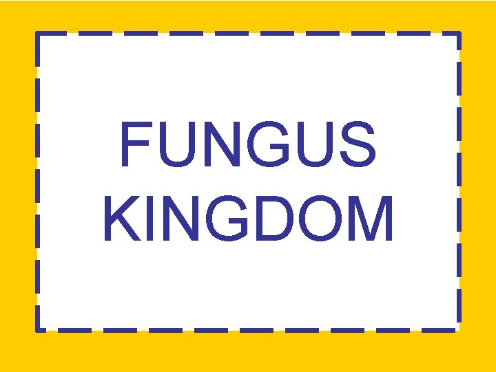 FUNGUS KINGDOM 