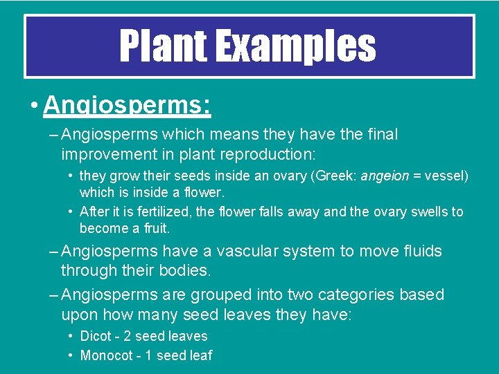 Plant Examples • Angiosperms: – Angiosperms which means they have the final improvement in