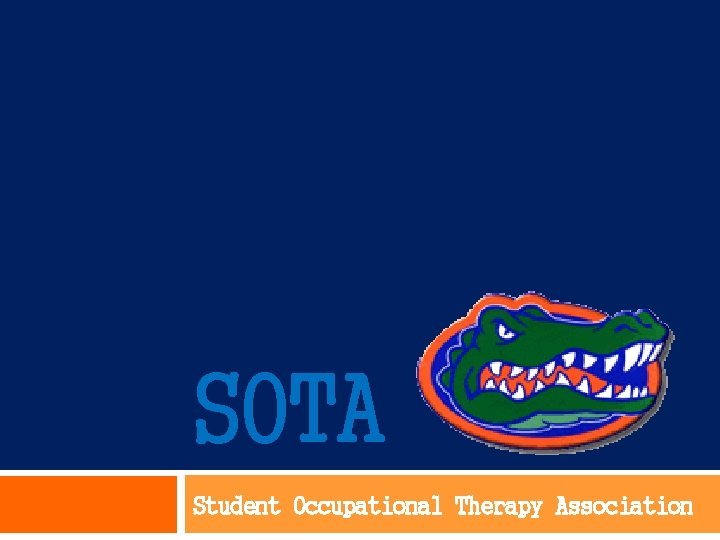 SOTA Student Occupational Therapy Association 