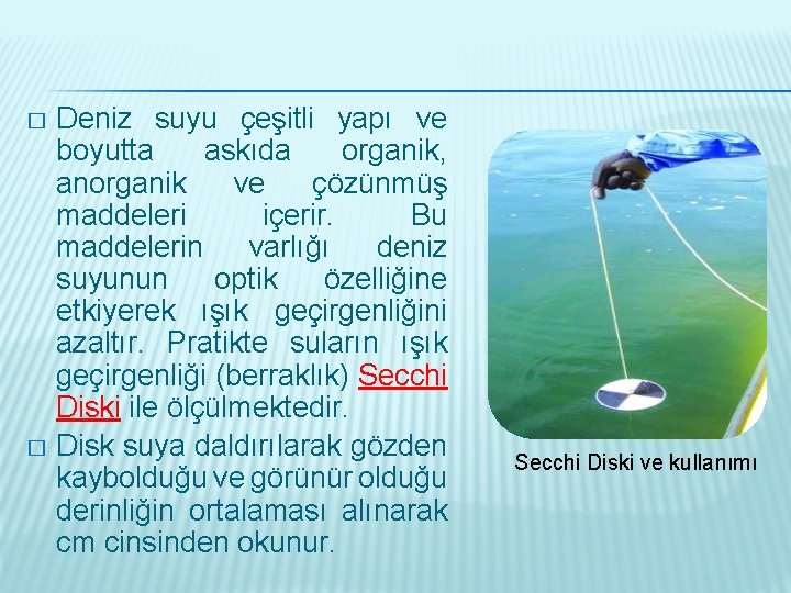 Deniz suyu çeşitli yapı ve boyutta askıda organik, anorganik ve çözünmüş maddeleri içerir. Bu
