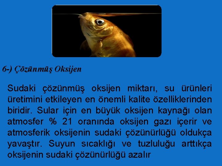 6 -) Çözünmüş Oksijen Sudaki çözünmüş oksijen miktarı, su ürünleri üretimini etkileyen en önemli