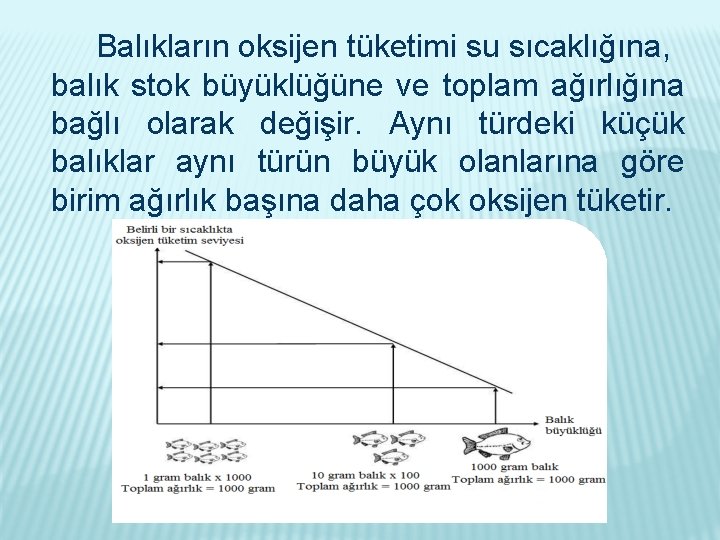 Balıkların oksijen tüketimi su sıcaklığına, balık stok büyüklüğüne ve toplam ağırlığına bağlı olarak değişir.