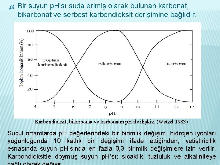  Bir suyun p. H’sı suda erimiş olarak bulunan karbonat, bikarbonat ve serbest karbondioksit