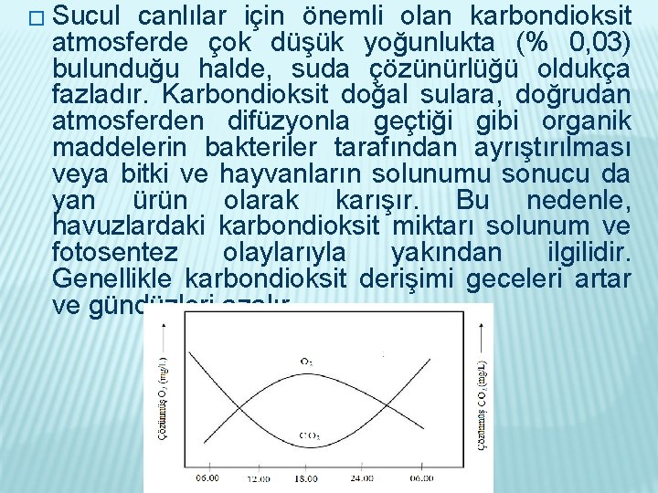 � Sucul canlılar için önemli olan karbondioksit atmosferde çok düşük yoğunlukta (% 0, 03)