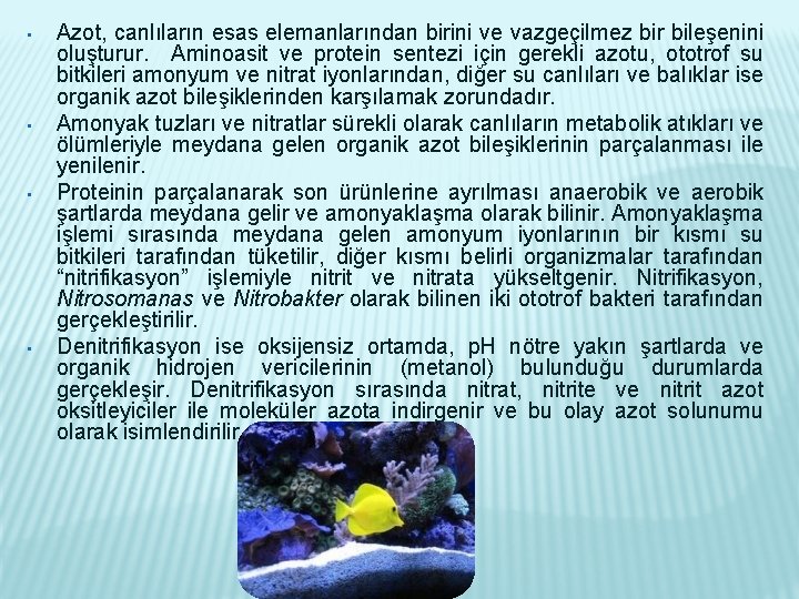  • • Azot, canlıların esas elemanlarından birini ve vazgeçilmez bir bileşenini oluşturur. Aminoasit