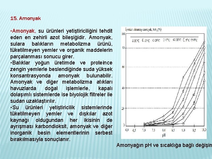 15. Amonyak • Amonyak, su ürünleri yetiştiriciliğini tehdit eden en zehirli azot bileşiğidir. Amonyak,