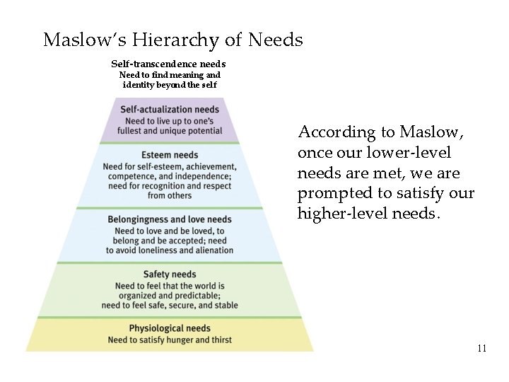 Maslow’s Hierarchy of Needs Self-transcendence needs Need to find meaning and identity beyond the