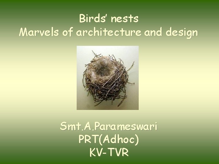 Birds’ nests Marvels of architecture and design Smt. A. Parameswari PRT(Adhoc) KV-TVR 