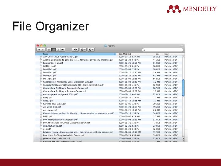 File Organizer 