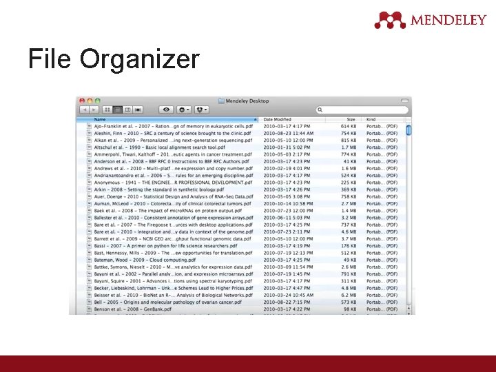 File Organizer 