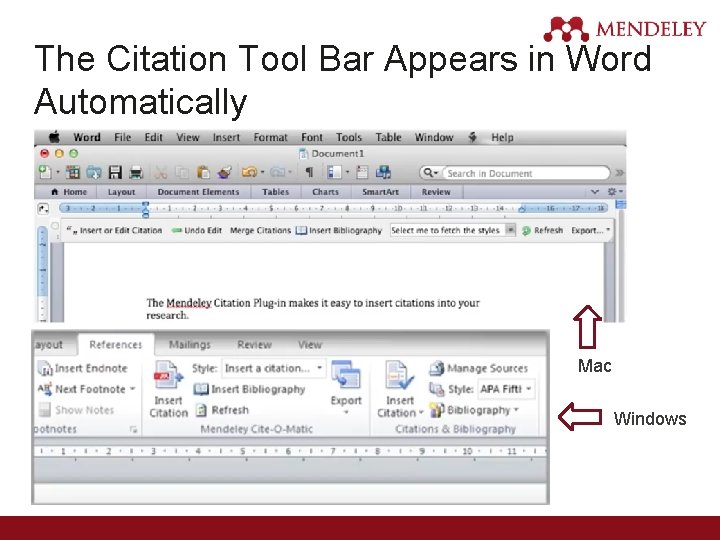 The Citation Tool Bar Appears in Word Automatically Mac Windows 