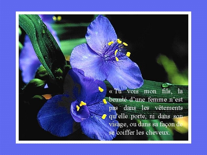  « Tu vois mon fils, la beauté d’une femme n’est pas dans les
