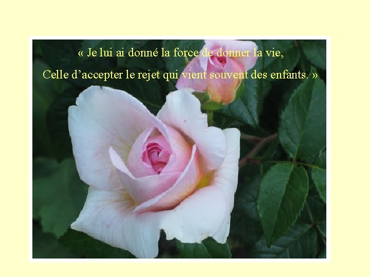  « Je lui ai donné la force de donner la vie, Celle d’accepter