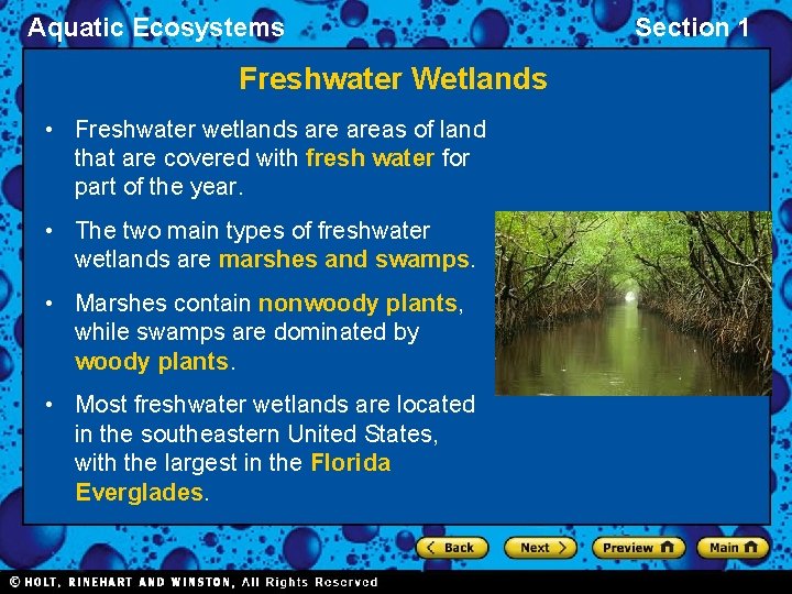 Aquatic Ecosystems Freshwater Wetlands • Freshwater wetlands areas of land that are covered with