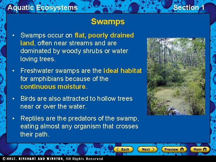Aquatic Ecosystems Section 1 Swamps • Swamps occur on flat, poorly drained land, often