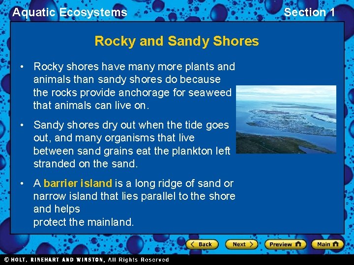 Aquatic Ecosystems Rocky and Sandy Shores • Rocky shores have many more plants and