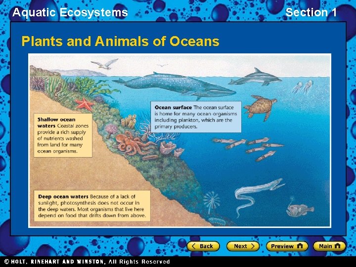 Aquatic Ecosystems Plants and Animals of Oceans Section 1 
