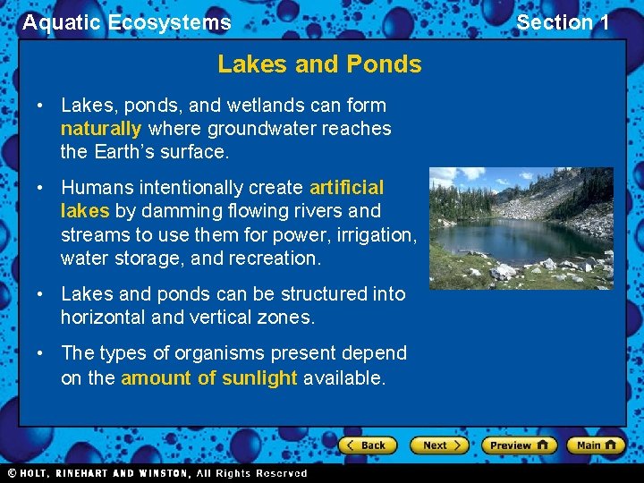 Aquatic Ecosystems Lakes and Ponds • Lakes, ponds, and wetlands can form naturally where