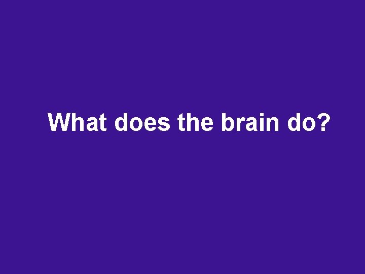 What does the brain do? What does the brain do?
