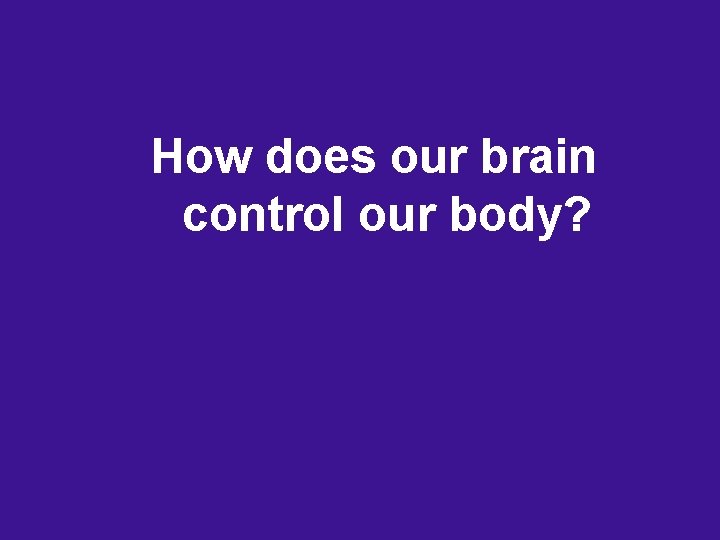 How does our brain control our body? How does our brain control our body?