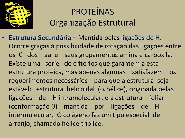 PROTEÍNAS Organização Estrutural • Estrutura Secundária – Mantida pelas ligações de H. Ocorre graças