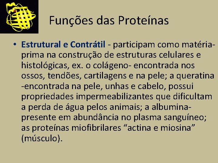 Funções das Proteínas • Estrutural e Contrátil - participam como matériaprima na construção de