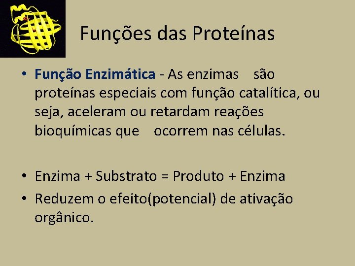 Funções das Proteínas • Função Enzimática - As enzimas são proteínas especiais com função