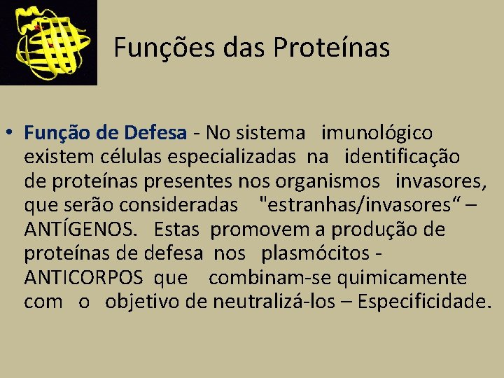 Funções das Proteínas • Função de Defesa - No sistema imunológico existem células especializadas