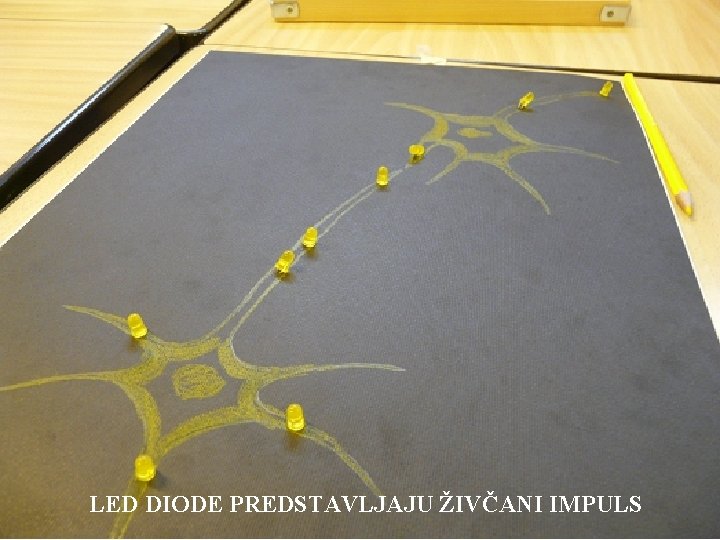 LED DIODE PREDSTAVLJAJU ŽIVČANI IMPULS 