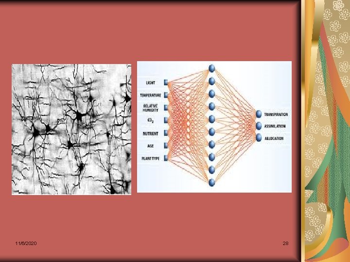 11/6/2020 28 11/6/2020 28