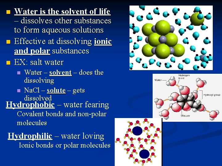 n n n Water is the solvent of life – dissolves other substances to