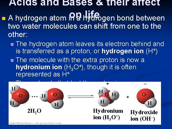 Acids and Bases & their affect on life n A hydrogen atom in a