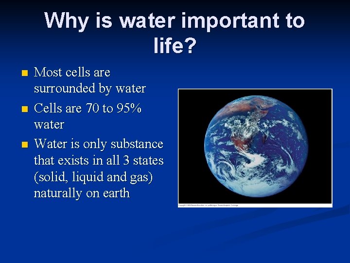 Why is water important to life? n n n Most cells are surrounded by