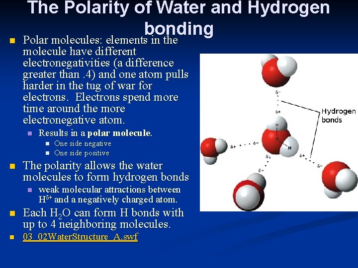 n The Polarity of Water and Hydrogen bonding Polar molecules: elements in the molecule