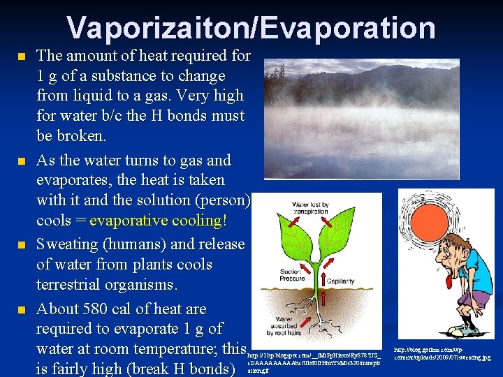 Vaporizaiton/Evaporation n n The amount of heat required for 1 g of a substance