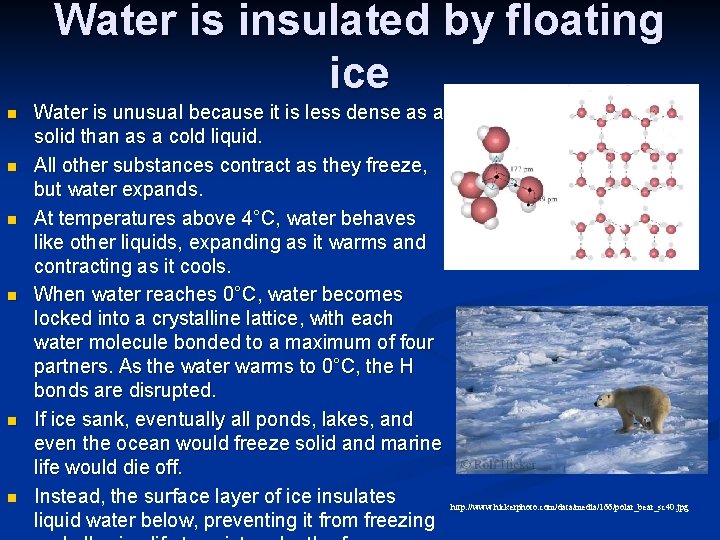 Water is insulated by floating ice n n n Water is unusual because it