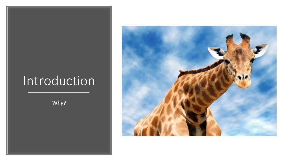 Introduction Why? 