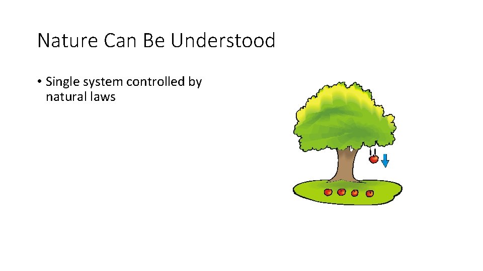 Nature Can Be Understood • Single system controlled by natural laws 