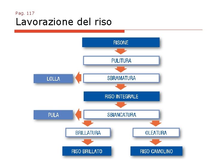 Pag. 117 Lavorazione del riso 